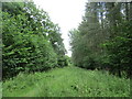 Footpath to Scotland