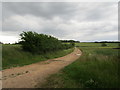 Farm track to Long Wood