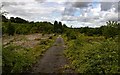 Denton Sewage Works