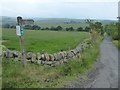 NY8684 : Public Bridleway to Rede Bridge by Russel Wills