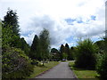 Shottermill Cemetery on the longest day (o)