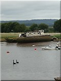 SX9687 : Black swans and hulk, River Exe, Topsham by David Smith