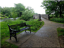 H4772 : Seat and footbridge, Cranny by Kenneth  Allen