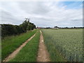 Path to Lower Towthorpe