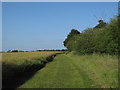 Footpath on field boundary, near Nine Ashes Farm