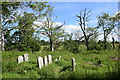 NJ7317 : Overgrown graves, St Ninian's Chapel, Fetternear by Bill Harrison