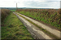 Lane near Little Weare Barton