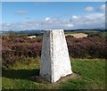 Triangulation pillar, Glack Wood, Aberdeenshire