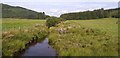 Drainage stream at Glensone