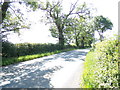TM1957 : B1079 Helmingham Road, Helmingham by Geographer