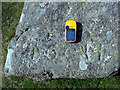 SX7578 : Inscription â€“ DOCH? â€“ at Smallacombe Rocks, Dartmoor by Sloop John B
