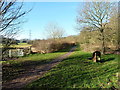 A path in the park at Gannow Green