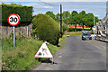 Hedge trimming along Dervaghroy Road