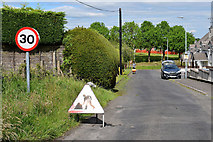 H5367 : Hedge trimming along Dervaghroy Road by Kenneth  Allen