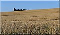 Farmland, Ythsie, Aberdeenshire