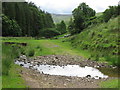 Ford Near Elsdonburn