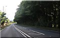 The A343 at Lopcombe Corner