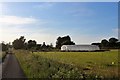 Smithy Polytunnel