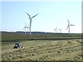 NY9081 : Windrows and windfarm by Oliver Dixon