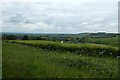 Above Scottendale Farm