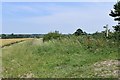 High Street Green: Public footpath