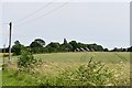 High Street Green: Across a cereal crop to houses at the end of Borough Lane