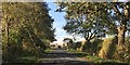  : Ash Lane near Boundary Farm by Darren Haddock