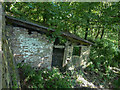 Ruined building below Sutcliffe Wood Lane, Hove Edge