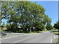 Crossroads near Rosebush