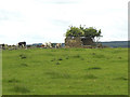 Ruined building off Penny Pot Lane