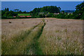 Wraxall and Failand : Grassy Field