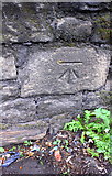 SE1535 : Benchmark on wall on SW side of Canal Road by Roger Templeman