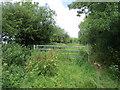 Bridleway near Brigg