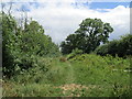 Bridleway to Keyston