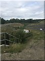 Drain Outfall near Birdwell Common