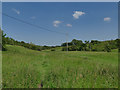 Ball Grove Park: field alongside the river