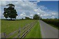 Road near Bracken