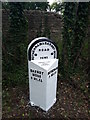 Old Milestone by the A634, Stone, south east of Maltby