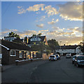 Lichfield Road: evening sunlight