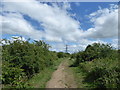 Embankment on Milton Creek Country Park