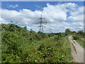 Milton Creek Country Park