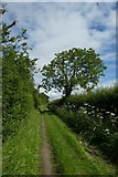 SE6859 : Bridleway to Whinny Lane by DS Pugh