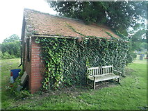 SO3958 : Shed at St. Mary's Church (Pembridge) by Fabian Musto