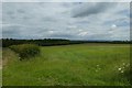 Farmland beside Menethorpe Lane