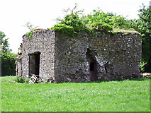 R6706 : Castles of Munster: Dannanstown, Cork (1) by Garry Dickinson