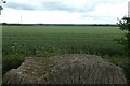 Farmland beside the A64