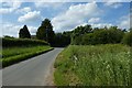 Road through Kennythorpe