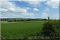 Farmland and hedgerow south west of Burythorpe