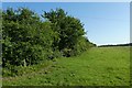 Path along the field edge