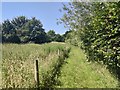 Footpath near Honey Lane Farm